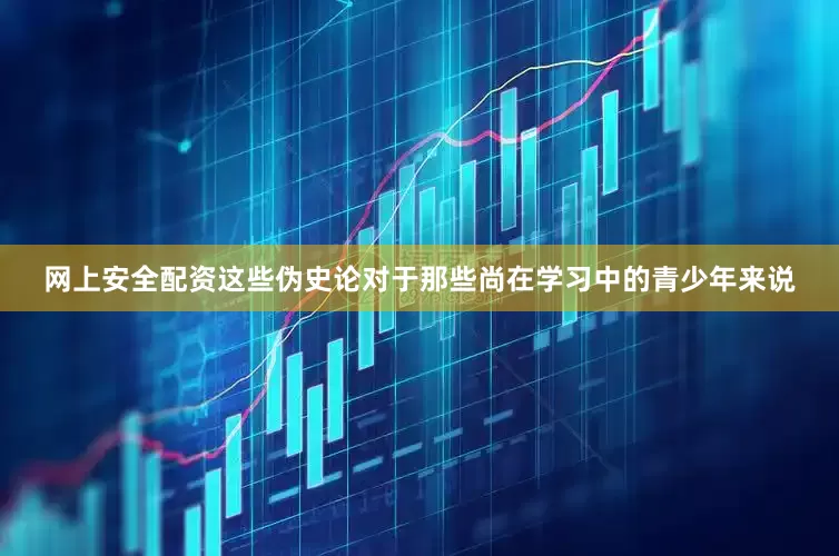 网上安全配资这些伪史论对于那些尚在学习中的青少年来说