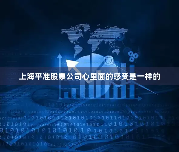 上海平准股票公司心里面的感受是一样的