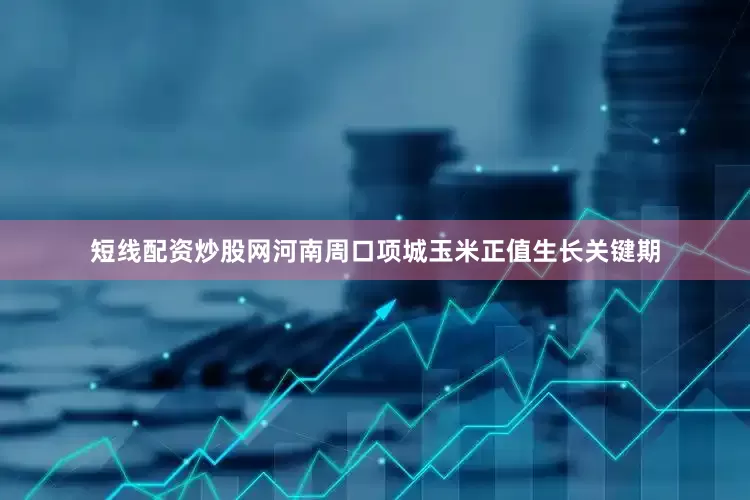 短线配资炒股网河南周口项城玉米正值生长关键期